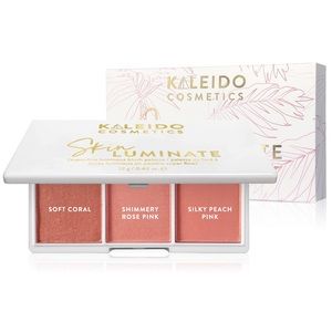 Skinluminate - Superfine Luminous Blush Palette - New In Box
